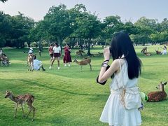 -奈良公园