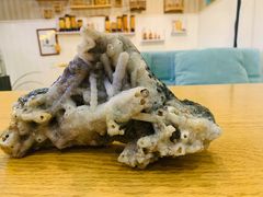 -Rabbit Cafe私房西餐甜点咖啡(栖霞路店)