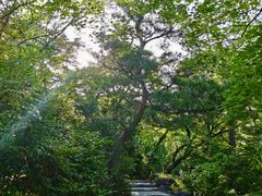 -三千院