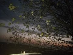 -湖南东洞庭湖国家级自然保护区