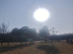 -洨河生态公园