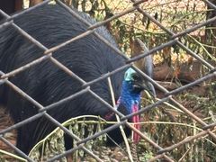 -昆明动物园