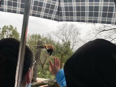 -杭州少年儿童公园