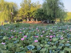 -南翠屏公园