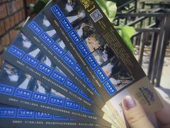 -将军关探险漂流