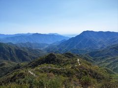 -大岭沟猕猴桃谷风景区