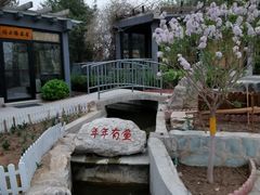 -太阳宫公园