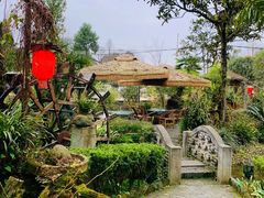 -青城甲(青城山店)