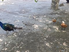 -新疆天山野生动物园