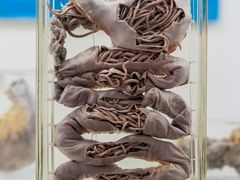 -四川大学(华西校区)