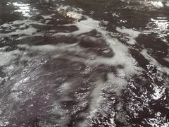 -南宫温泉水世界