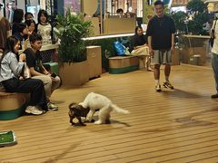 -广州天河城购物中心