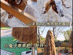 -珠海海泉湾神秘岛亲子乐园