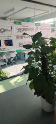 -清清博视儿童眼视光中心(角门西店)