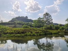 -雅达·阳羡溪山小镇中心