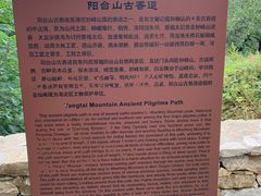 -阳台山自然风景区