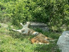 -西安秦岭野生动物园