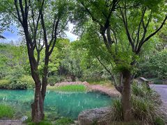 -贡湖湾湿地公园