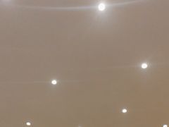 -梅花香里大酒店(郁金香路店)
