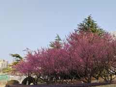 -白塘生态植物园