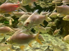 -顺德南宏海立方海洋公园