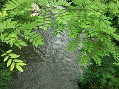 -西岭雪山大飞水景区