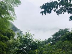 -藏龙百瀑风景区