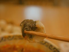 -王浩儿纪六孃甜皮鸭(乐山总店)