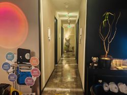 -玛莲朵·海菲秀冰珀科