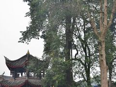 -峨眉山报国寺