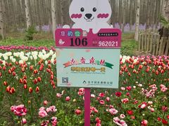 -东平国家森林公园