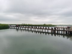 -苏州太湖湖滨国家湿地公园