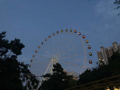 -幸薈飯堂
