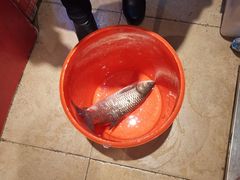 -三味鱼屋(琥珀山庄店)