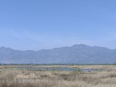 -野鸭湖国家湿地公园