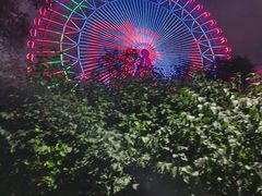 -万泉公园