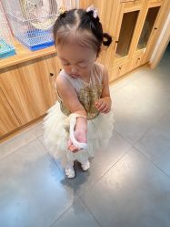 -Moni星球萌宠·小马宝莉·灵蛇·高端高阶全萌宠互动体验俱乐部(红豆国际广场店)