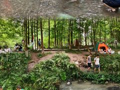 -桤木河湿地公园