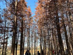 -云龙湖旅游景区