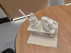 -野人先生现做冰淇淋(贵阳万象汇店)