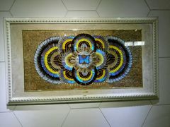 -上海昆虫博物馆