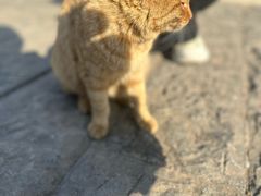 -井塘古村