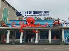 -北海海底世界