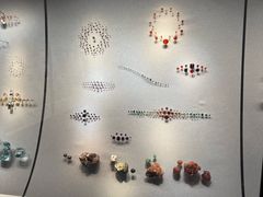 -美国自然历史博物馆