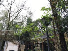 -旅马餐厅(茅家埠店)