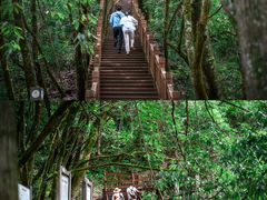 -光雾山旅游景区