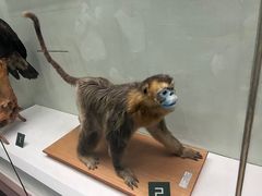 -国家自然博物馆