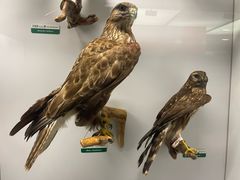 -国家自然博物馆