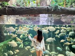 -南昌融创海世界