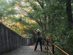 -上海佘山国家森林公园西佘山园